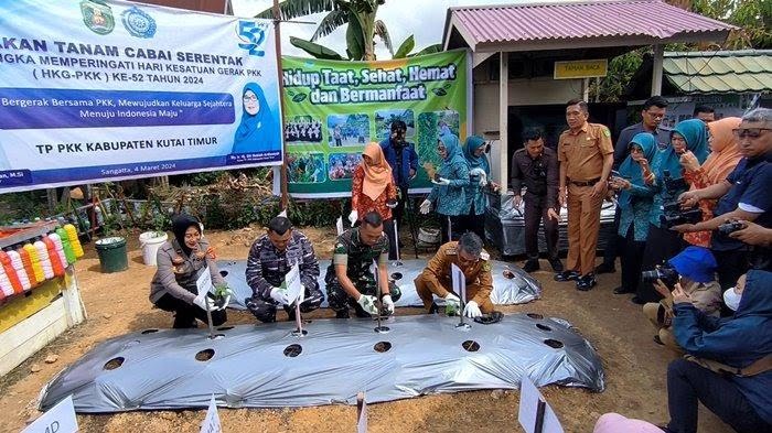 Gerakan tanam cabai di Kutim (ist)