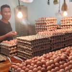 Harga telur melonjak naik (dok: katakaltim)