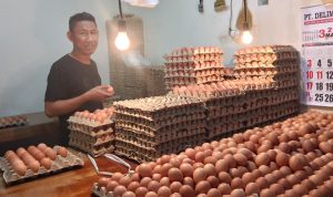Harga telur melonjak naik (dok: katakaltim)