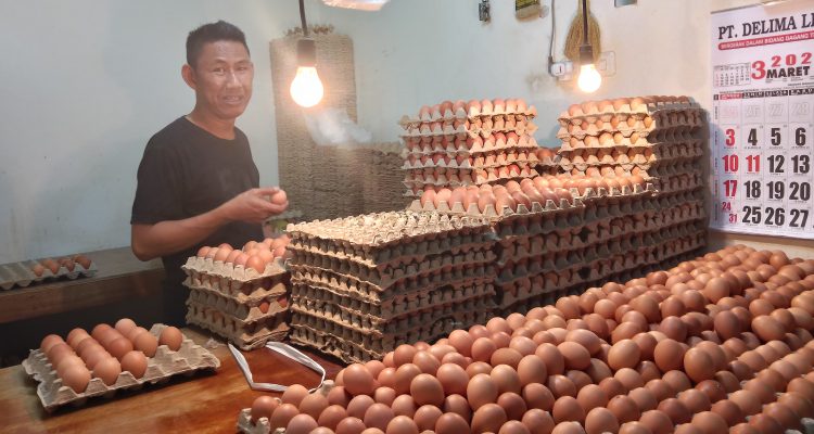 Harga telur melonjak naik (dok: katakaltim)